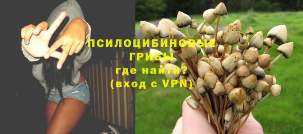 крисы Богданович