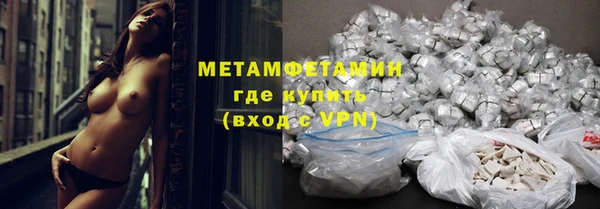 индика Богородицк