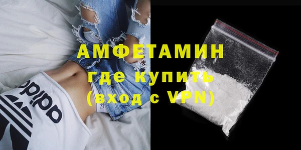 индика Богородицк