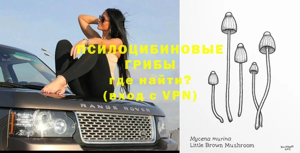 индика Богородицк