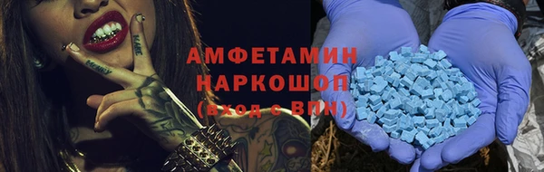 индика Богородицк