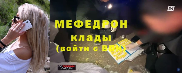 индика Богородицк