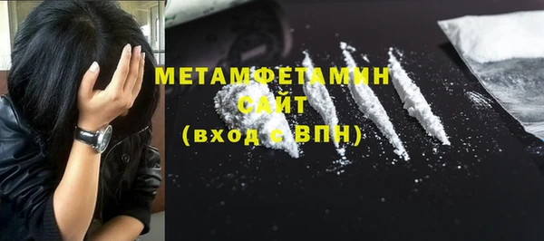индика Богородицк