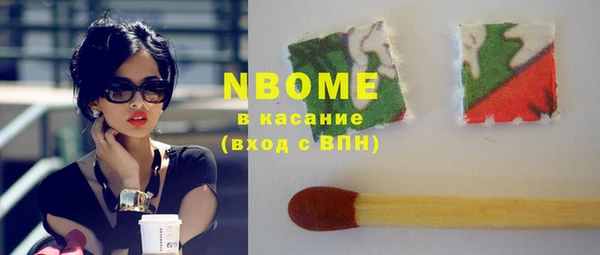 индика Богородицк