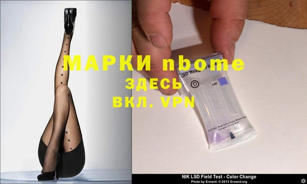 индика Богородицк