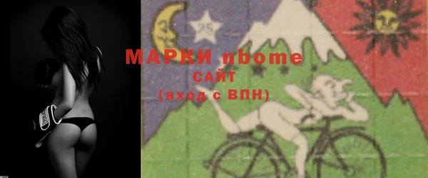 индика Богородицк