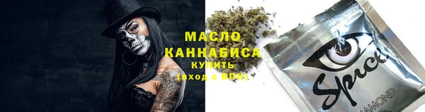 индика Богородицк