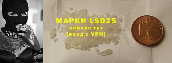 индика Богородицк