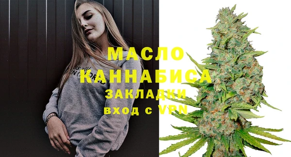 индика Богородицк