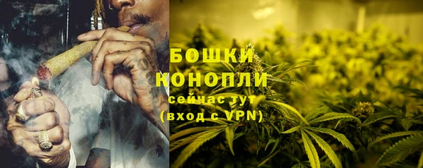 индика Богородицк