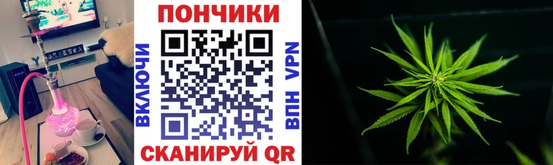 Канабис MAZAR  Новодвинск 